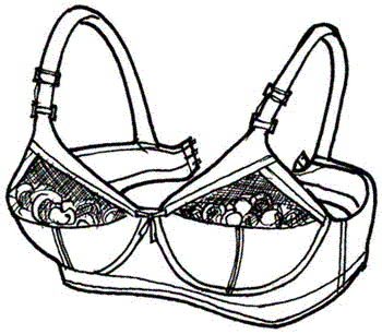 back hook & eye bra.GIF